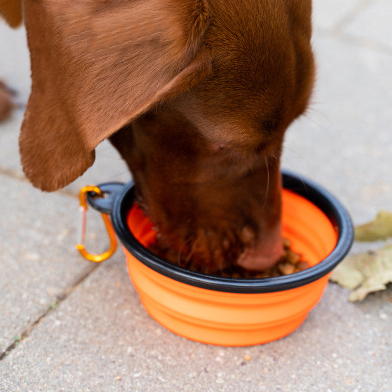 Plastic Pet Bowls Feeders Cups Pails Travel Bowl All-season Support 3-in-1